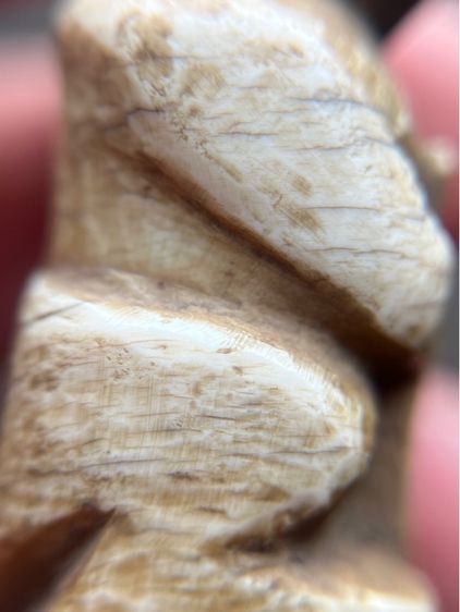 ลิงตัวใหญ่อ้วนๆ (มีสินค้าหลายรายการกดเข้ามาดูในโปรไฟล์ได้เลยครับ) รูปที่ 7