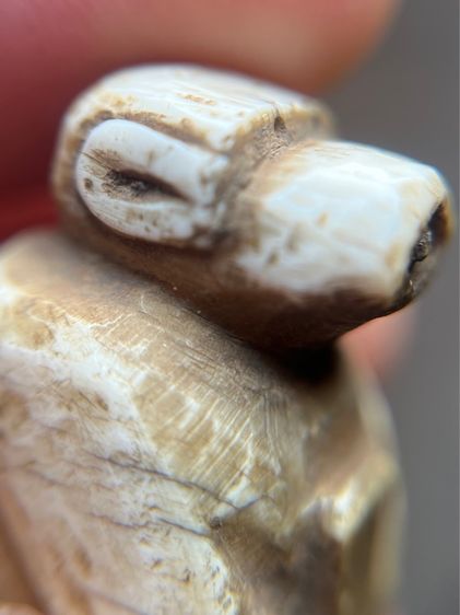 ลิงตัวใหญ่อ้วนๆ (มีสินค้าหลายรายการกดเข้ามาดูในโปรไฟล์ได้เลยครับ) รูปที่ 6