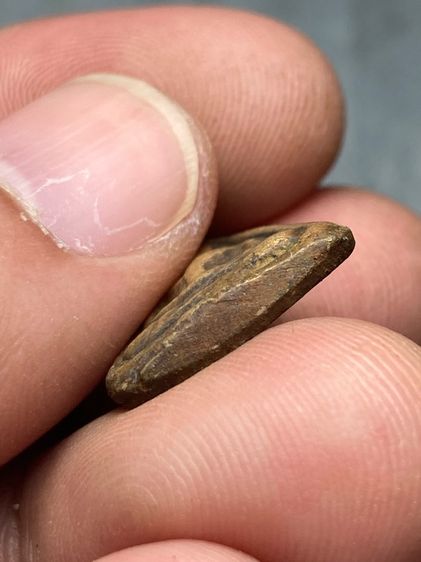 จอบเล็กพ่อเงิน รูปที่ 5