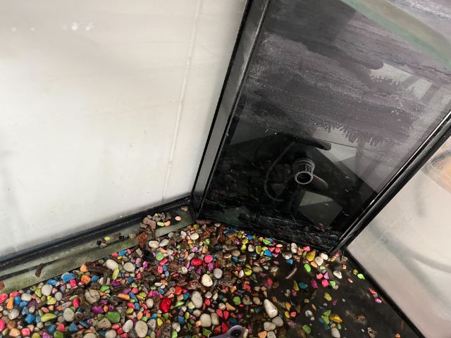 ตู้ปลา รูปที่ 3