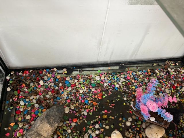 ตู้ปลา รูปที่ 2