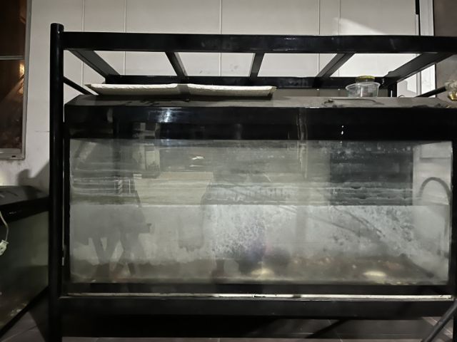 ตู้ปลา รูปที่ 5