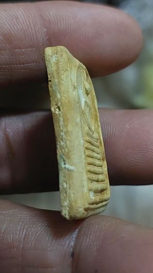 พระสมเด็จ7ชั้น รูปที่ 9