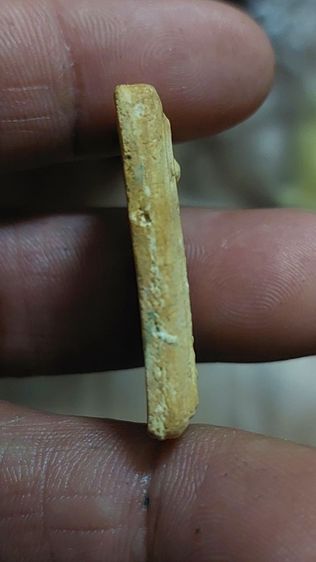 พระสมเด็จ7ชั้น รูปที่ 7