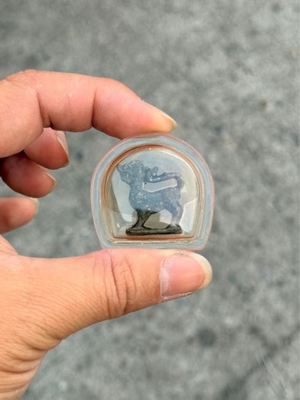 สิงห์ไม่ทราบที่ รูปที่ 7