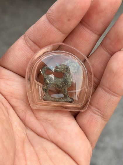 สิงห์ไม่ทราบที่ รูปที่ 2