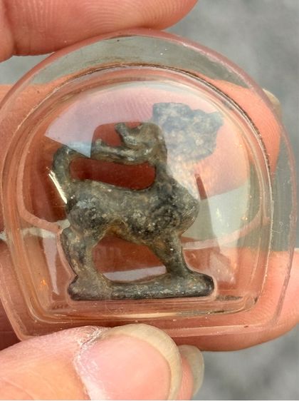 สิงห์ไม่ทราบที่ รูปที่ 5