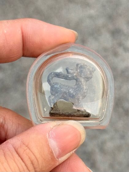 สิงห์ไม่ทราบที่ รูปที่ 6