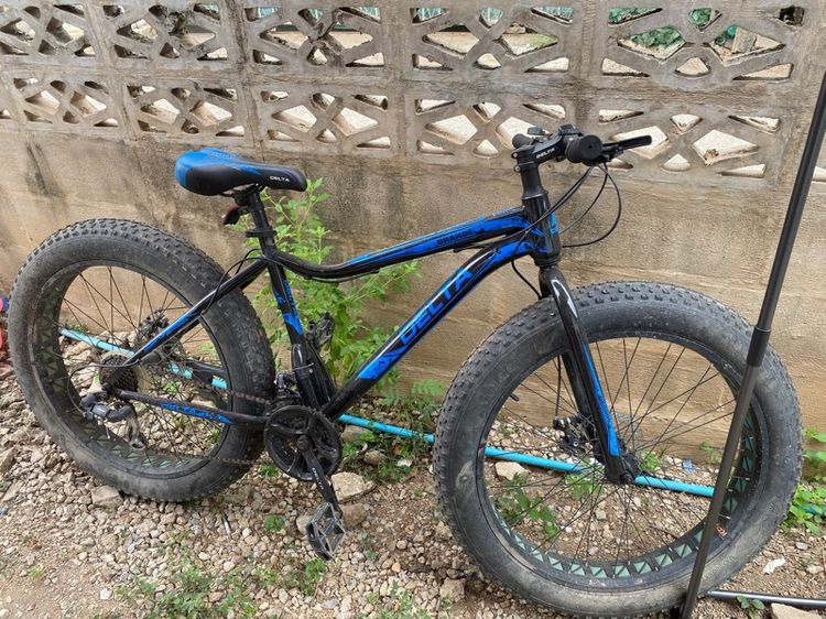 รถจักรยานล้อโต รูปที่ 2