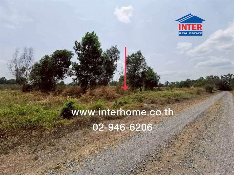 ที่ดินเปล่า 100 ตร.ว. ที่ดิน ใกล้ที่ว่าการอำเภอหนองเสือ ปทุมธานี ถนนรังสิต-นครนายก ถนนทางหลวงแผ่นดิน3261 หนองเสือ ปทุมธานี รูปที่ 3