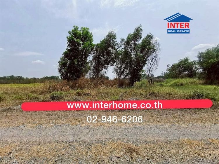 ที่ดินเปล่า 100 ตร.ว. ที่ดิน ใกล้ที่ว่าการอำเภอหนองเสือ ปทุมธานี ถนนรังสิต-นครนายก ถนนทางหลวงแผ่นดิน3261 หนองเสือ ปทุมธานี