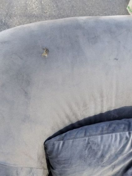 เก้าอี้อาร์มแชร์ รูปที่ 4