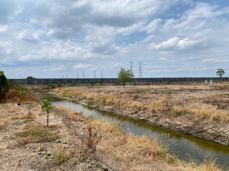  ประกาศขายที่ดินในเขตเมืองขยาย เจ้าของขายเอง โฉนดพร้อมโอน ไม่มีภาระผูกพัน   พิกัด ซอยแบนชะโด ( ถนนประชาร่วมใจ ระหว่างซอยซอยประชาร่วมใจ 67 รูปที่ 4