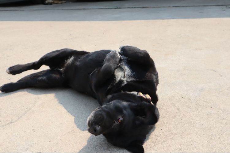 Canon Eos M50 mark ii พร้อมเลนส์ EF-M 15-45mm IS STM 24.1MP 4K สภาพสวยมากเหมือนได้มือ 1 รูปที่ 15