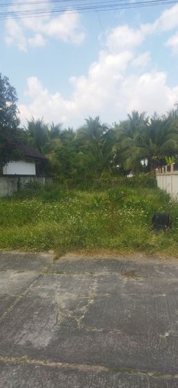 เขียงใหม่ทำเลทอง