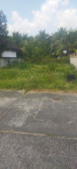 ใช่ เขียงใหม่ทำเลทอง รูปที่ 2