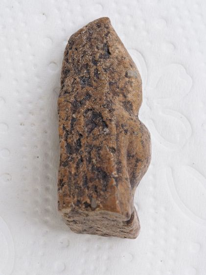 พระนางพญา 04016909 รูปที่ 3