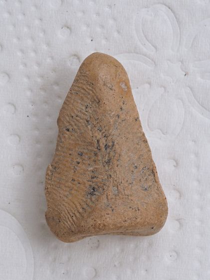 พระฤาษีเนื้อดิน 04016918 รูปที่ 2