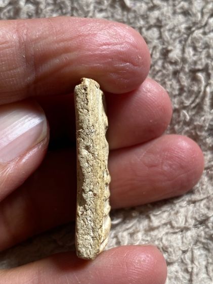 สมเด็จวัดระฆัง รูปที่ 3