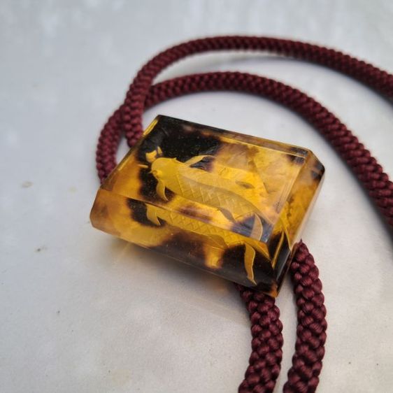 โบโลไทด์ วินเทจ รูปปลา รูปที่ 3