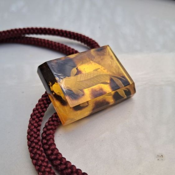 โบโลไทด์ วินเทจ รูปปลา รูปที่ 7