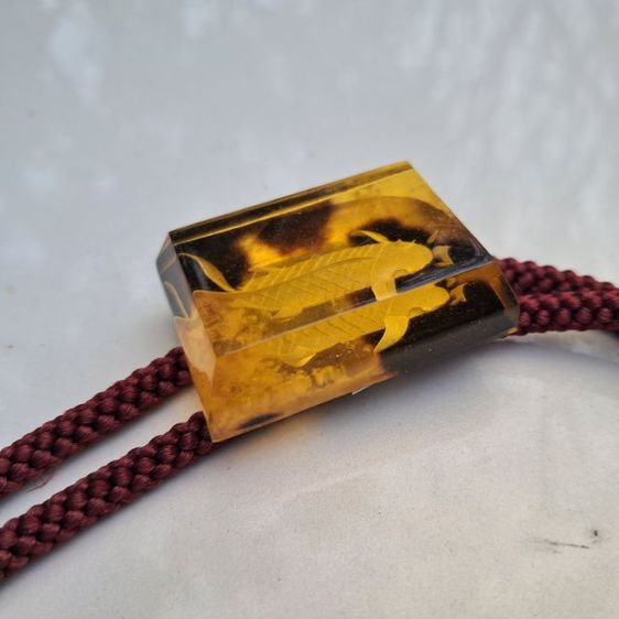 โบโลไทด์ วินเทจ รูปปลา