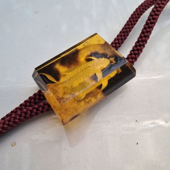 โบโลไทด์ วินเทจ รูปปลา รูปที่ 5