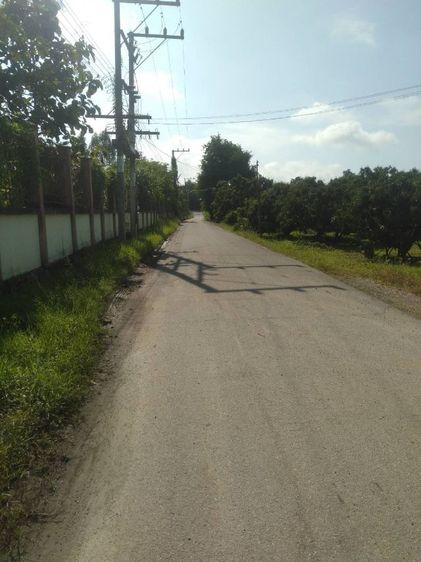 ไม่ใช่ ร้อนเงินขายถูกมีโฉนดเกือบ 7 ไร่ ขายยกแปลงเพียง 1.8 ล้านบาทฟรีโอน รูปที่ 2