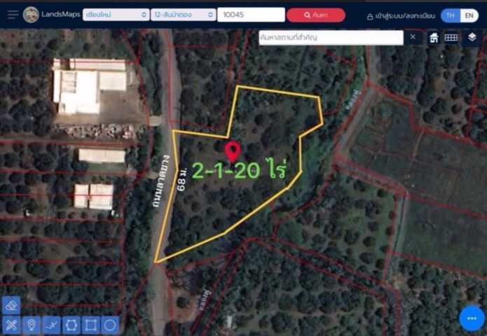 ไม่ใช่ ขายสวยลำไยติดถนนลาดยาง เหมาะทำบ้านสวน ฟาร์มสเตย์