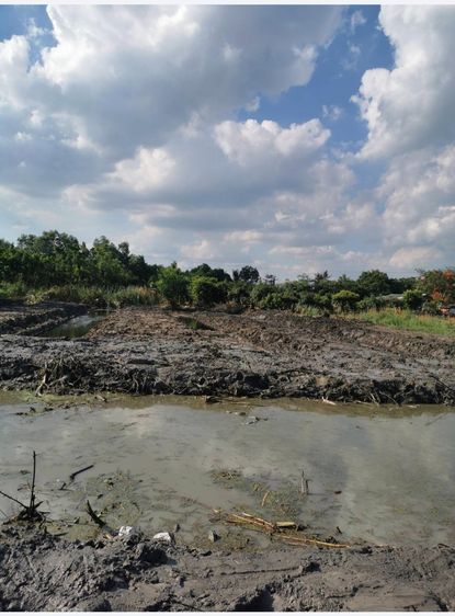 ขายที่ดินเปล่า 1-2-14 ไร่ ลำลูกกา คลอง 13 สายกลาง ใกล้แหล่งชุมชน เข้าซอยเพียง 400 ม.