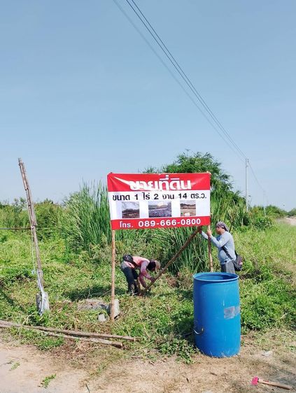 ขายที่ดินเปล่า 1-2-14 ไร่ ลำลูกกา คลอง 13 สายกลาง ใกล้แหล่งชุมชน เข้าซอยเพียง 400 ม. รูปที่ 3