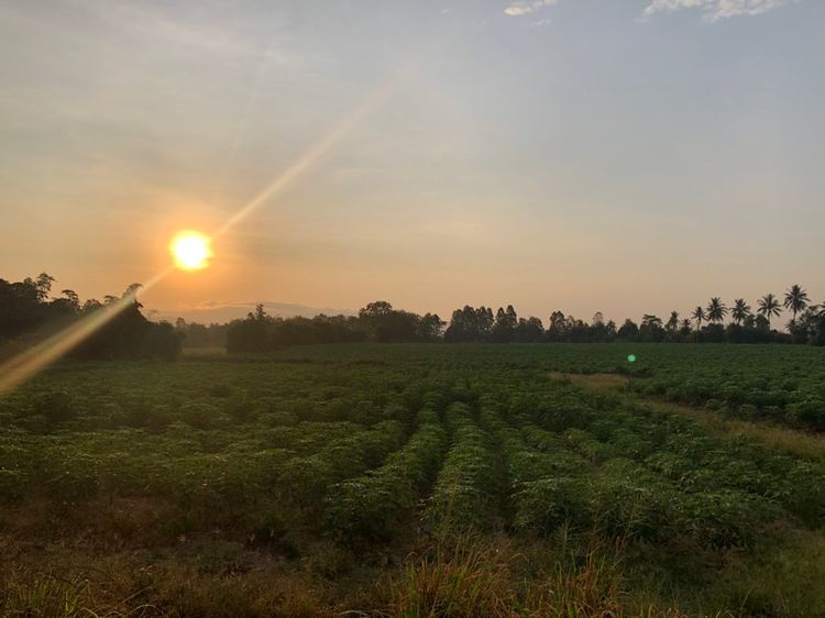 ไม่ใช่ ขายด่วยที่ดินเปล่า ใกล้มอร์เตอร์เวย์  รูปที่ 2