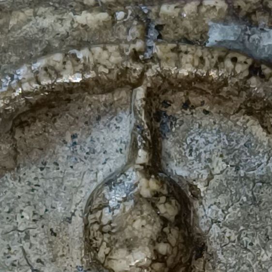 พระสมเด็จวัดระฆัง รูปที่ 3