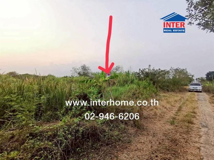 ที่ดินเปล่า 100 ตร.ว. ที่ดิน ใกล้อำเภอบางเลน ถนนทางหลวงแผ่นดินหมายเลข346 (ถนนปทุมธานี-บางเลน) บางเลน นครปฐม รูปที่ 3