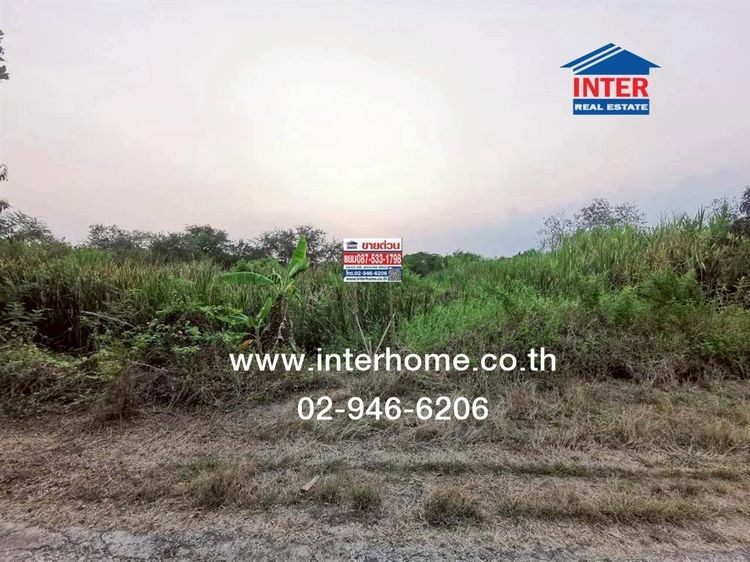 ที่ดินเปล่า 100 ตร.ว. ที่ดิน ใกล้อำเภอบางเลน ถนนทางหลวงแผ่นดินหมายเลข346 (ถนนปทุมธานี-บางเลน) บางเลน นครปฐม