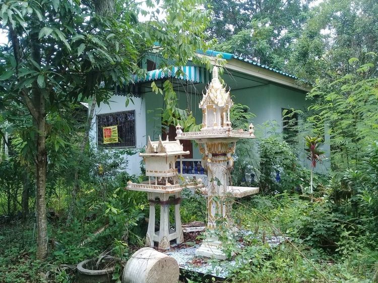 มีบางส่วน ขายบ้านชั้นเดียวพร้อมที่ดิน อ.ปากพนัง จ.นครศรีธรรมราช พร้อมเข้าอยู่ ทำเลดี ใกล้กรมชลประทาน  รูปที่ 4