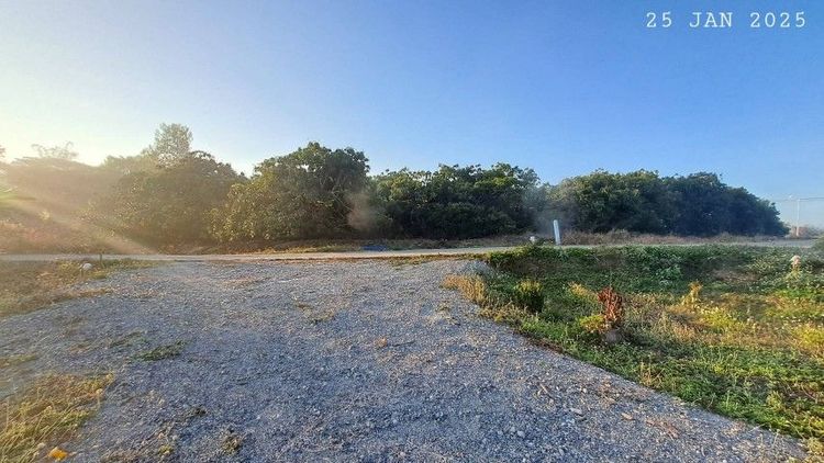 ไม่ใช่ เจ้าของขายเอง สวนลำไยแปลงเล็กวิวดอยอินทนนท์ ห่างทางหลวงเพียง 70 เมตร รูปที่ 4