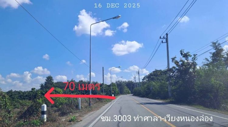 เจ้าของขายเอง สวนลำไยแปลงเล็กวิวดอยอินทนนท์ ห่างทางหลวงเพียง 70 เมตร