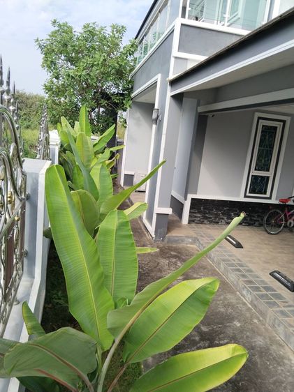 อื่นๆ มีบางส่วน 2021 ขายบ้านหลังใหญ่ จ.พิษณุโลก รูปที่ 2