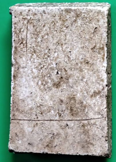 พระสมเด็จ วัดระฆัง บางขุนพรหม วัดเกศไชโย หลวงปู่ภู หลวงปู่นาค รูปที่ 9