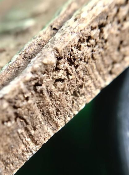 พระสมเด็จ วัดระฆัง บางขุนพรหม วัดเกศไชโย หลวงปู่ภู หลวงปู่นาค รูปที่ 11