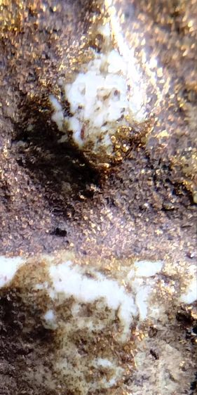 พระสมเด็จ วัดระฆัง บางขุนพรหม วัดเกศไชโย หลวงปู่ภู หลวงปู่นาค รูปที่ 8