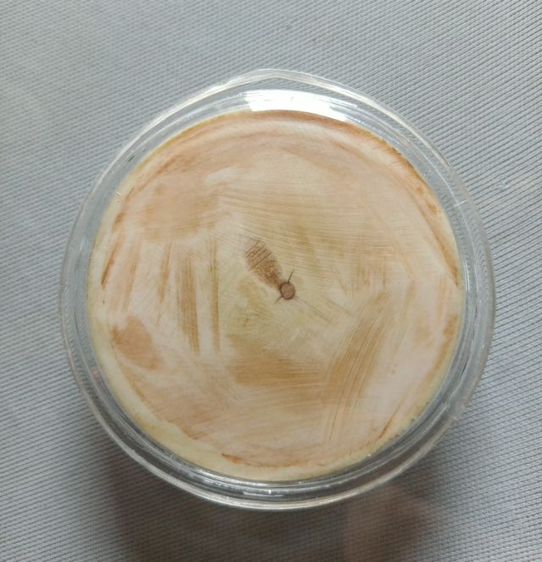 งานแกะรัชกาลที่ 5 รูปที่ 2