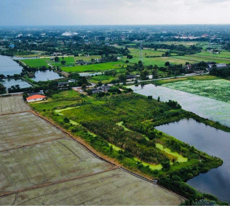 ใช่ ขายที่ดิน ตำบลทัพหลวง นครปฐม ยกแปลง 9 ไร่ 3 งาน  รูปที่ 4