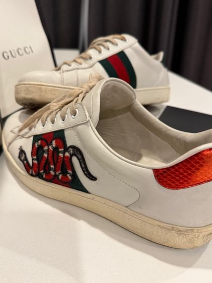 รองเท้า Gucci snaker  รูปที่ 5