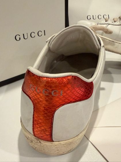 รองเท้า Gucci snaker  รูปที่ 4