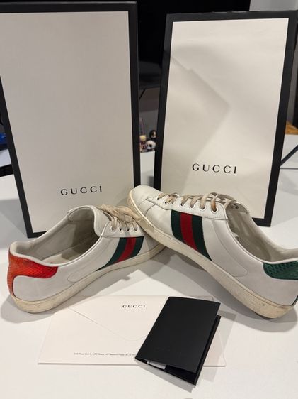 รองเท้า Gucci snaker 