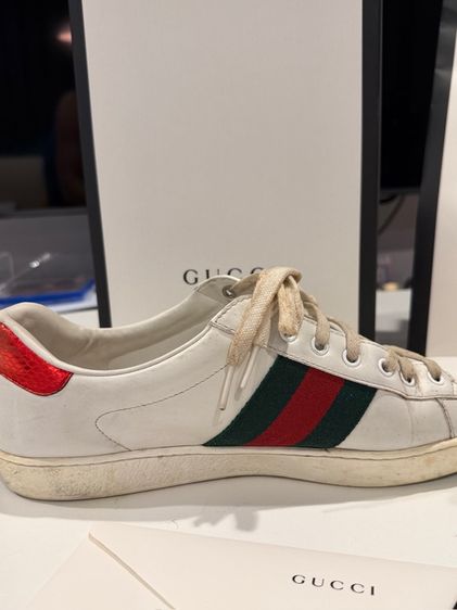 รองเท้า Gucci snaker  รูปที่ 7