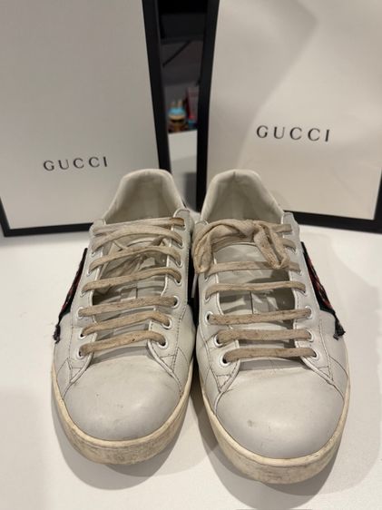 รองเท้า Gucci snaker  รูปที่ 11