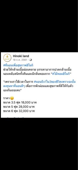 ที่นอนไม้หอมญี่ปุ่น hinoki รูปที่ 5